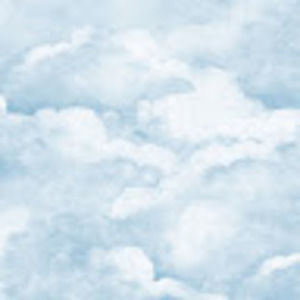 Meet your Posher, Cecily